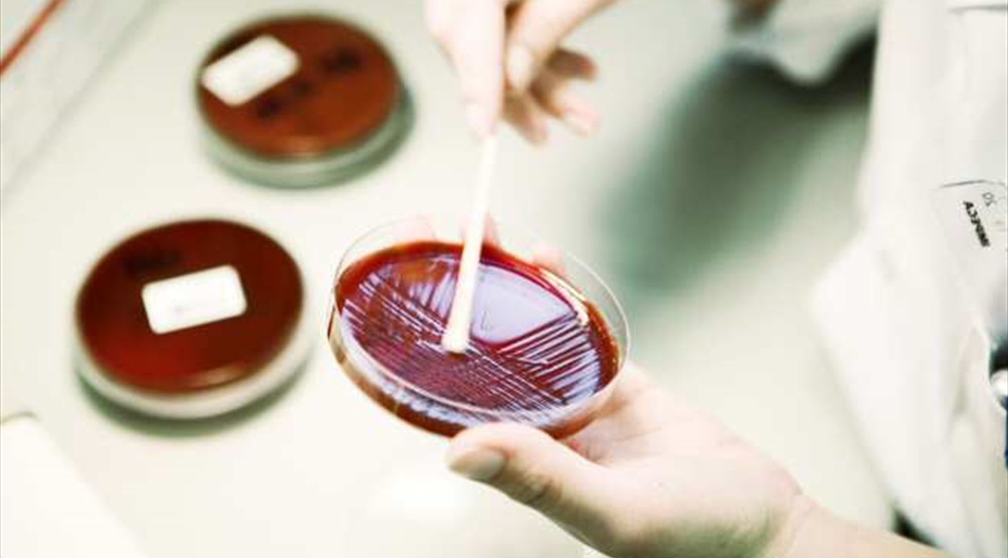 Diagnosis of Pathogens on Medical Devices